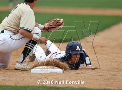 Thumbnail 1 in Birdville @ Allen photogallery.