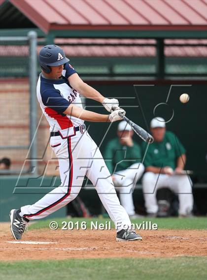 Thumbnail 1 in Birdville @ Allen photogallery.