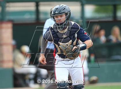 Thumbnail 2 in Birdville @ Allen photogallery.