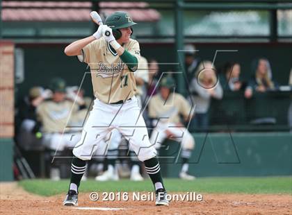 Thumbnail 2 in Birdville @ Allen photogallery.