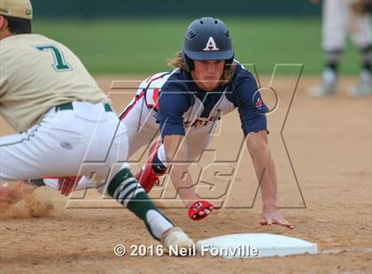 Thumbnail 2 in Birdville @ Allen photogallery.