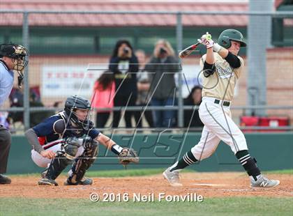 Thumbnail 2 in Birdville @ Allen photogallery.