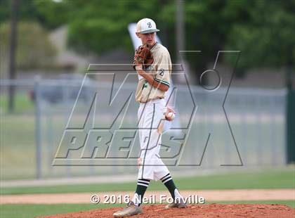 Thumbnail 1 in Birdville @ Allen photogallery.