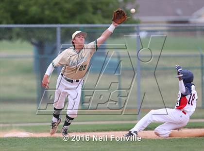 Thumbnail 3 in Birdville @ Allen photogallery.