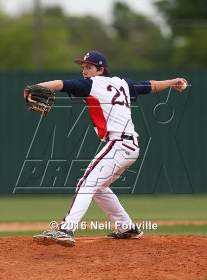Thumbnail 2 in Birdville @ Allen photogallery.