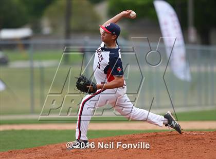 Thumbnail 3 in Birdville @ Allen photogallery.