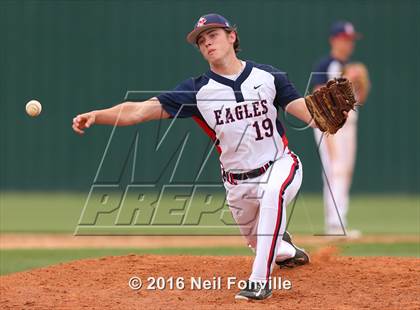 Thumbnail 3 in Birdville @ Allen photogallery.