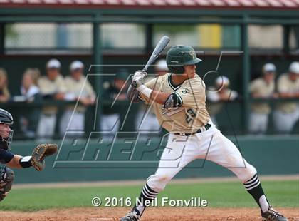Thumbnail 3 in Birdville @ Allen photogallery.