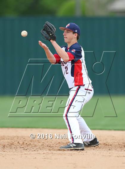Thumbnail 3 in Birdville @ Allen photogallery.