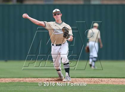 Thumbnail 1 in Birdville @ Allen photogallery.