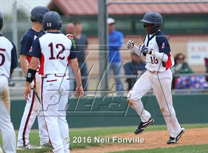 Thumbnail 1 in Birdville @ Allen photogallery.
