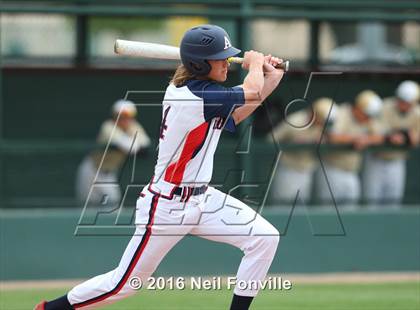 Thumbnail 2 in Birdville @ Allen photogallery.