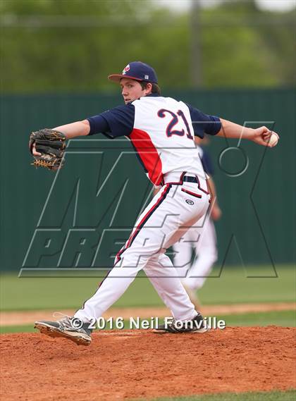 Thumbnail 1 in Birdville @ Allen photogallery.