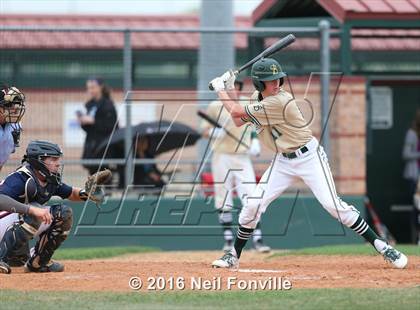 Thumbnail 1 in Birdville @ Allen photogallery.