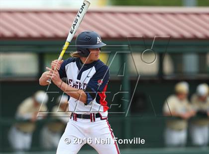 Thumbnail 3 in Birdville @ Allen photogallery.