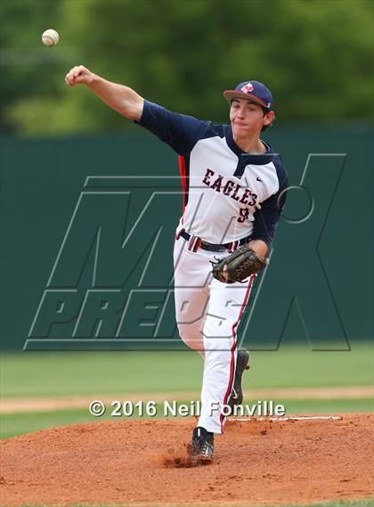 Thumbnail 2 in Birdville @ Allen photogallery.