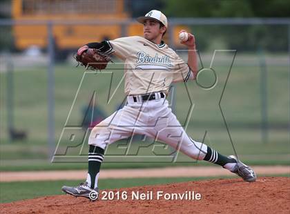 Thumbnail 3 in Birdville @ Allen photogallery.