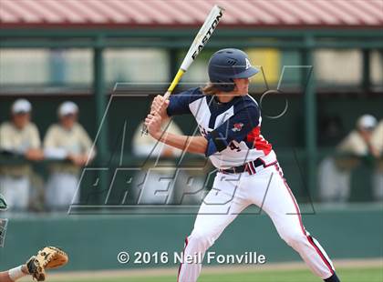 Thumbnail 1 in Birdville @ Allen photogallery.