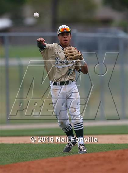 Thumbnail 2 in Birdville @ Allen photogallery.