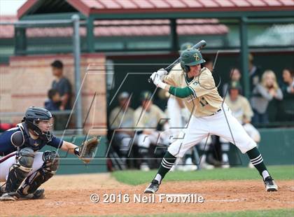 Thumbnail 3 in Birdville @ Allen photogallery.