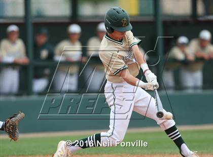 Thumbnail 1 in Birdville @ Allen photogallery.