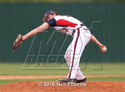Thumbnail 2 in Birdville @ Allen photogallery.