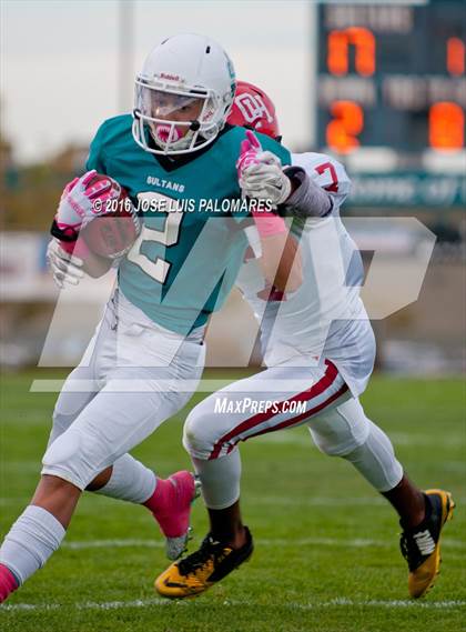 Thumbnail 1 in Oak Hills @ Sultana photogallery.