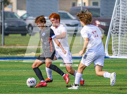 Thumbnail 3 in Danville vs Whiteland photogallery.
