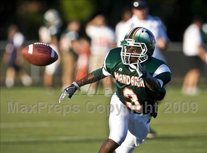 Thumbnail 1 in Fletcher @ Mandarin photogallery.
