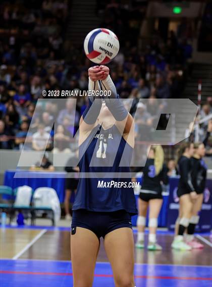 Thumbnail 1 in Thompson Valley vs. Palmer Ridge (CHSAA 4A Final) photogallery.
