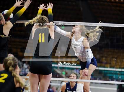Thumbnail 3 in Thompson Valley vs. Palmer Ridge (CHSAA 4A Final) photogallery.