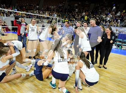 Thumbnail 1 in Thompson Valley vs. Palmer Ridge (CHSAA 4A Final) photogallery.