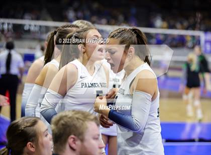 Thumbnail 1 in Thompson Valley vs. Palmer Ridge (CHSAA 4A Final) photogallery.