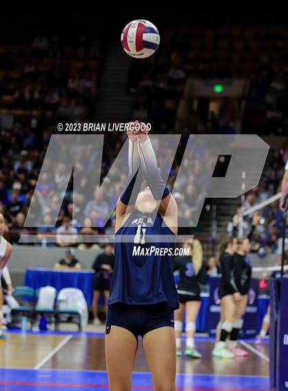 Thumbnail 2 in Thompson Valley vs. Palmer Ridge (CHSAA 4A Final) photogallery.
