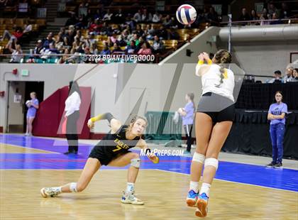 Thumbnail 3 in Thompson Valley vs. Palmer Ridge (CHSAA 4A Final) photogallery.