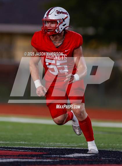 Thumbnail 1 in De Leon @ Muenster photogallery.