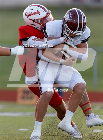 Thumbnail 1 in De Leon @ Muenster photogallery.