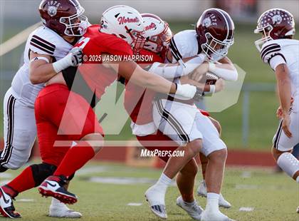 Thumbnail 1 in De Leon @ Muenster photogallery.