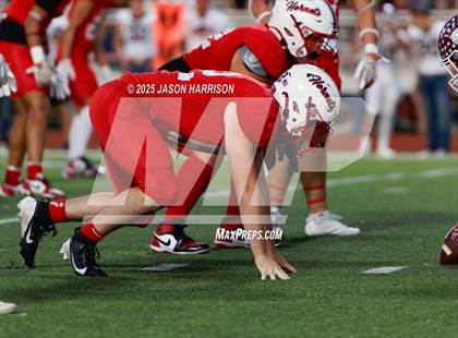 Thumbnail 2 in De Leon @ Muenster photogallery.