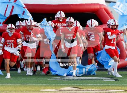 Thumbnail 1 in De Leon @ Muenster photogallery.