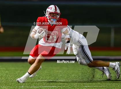 Thumbnail 2 in De Leon @ Muenster photogallery.