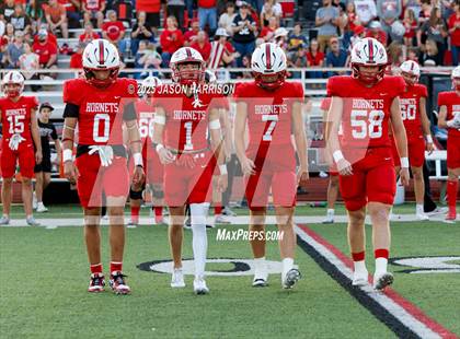 Thumbnail 1 in De Leon @ Muenster photogallery.