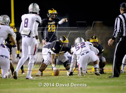 Thumbnail 1 in Liberty vs. Edison (CIF CS DIV 1 Final) photogallery.