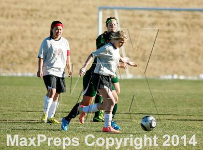 Thumbnail 3 in Aurora Central @ Pomona photogallery.
