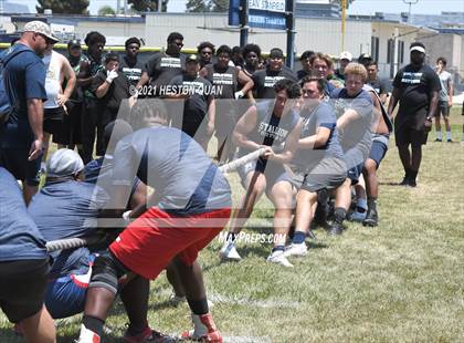 Thumbnail 1 in Marina Lineman Challenge - Tug of War (Marina Invitational) photogallery.