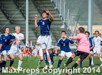 Thumbnail 3 in Springville @ Maple Mountain photogallery.