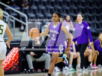 Thumbnail 1 in Bellevue East vs. Gretna photogallery.