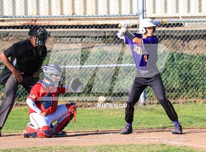 Thumbnail 1 in Righetti vs Marshall photogallery.