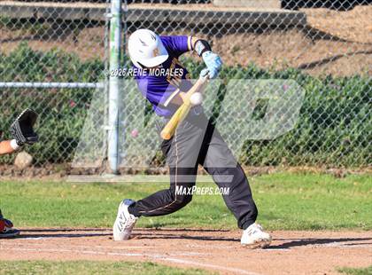 Thumbnail 1 in Righetti vs Marshall photogallery.