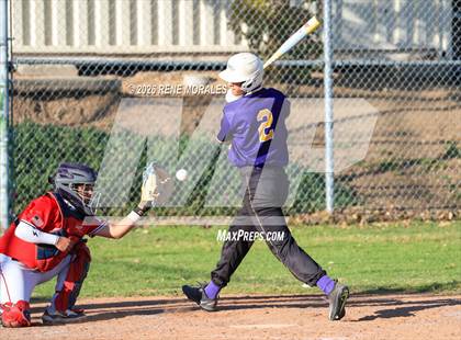 Thumbnail 1 in Righetti vs Marshall photogallery.